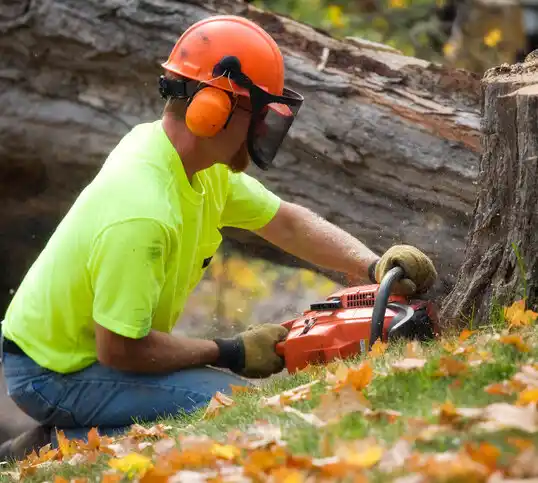 tree services Violet